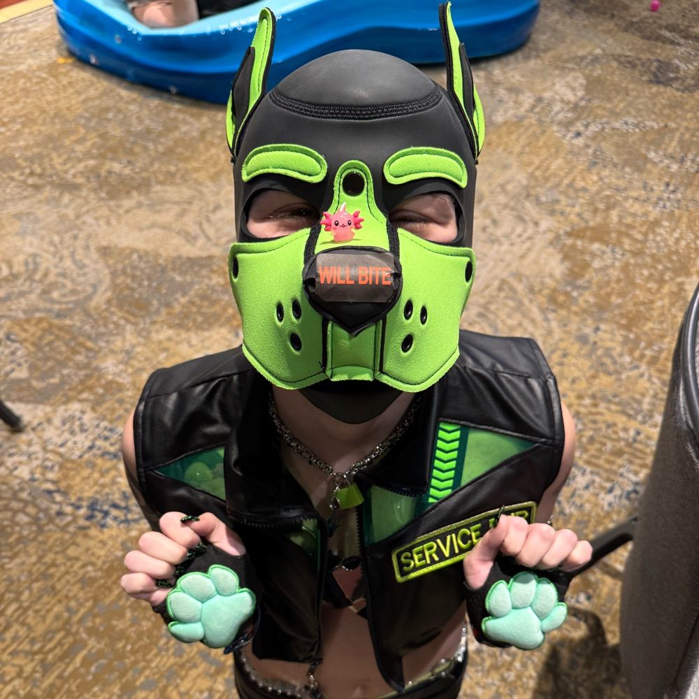 Pup Hercules