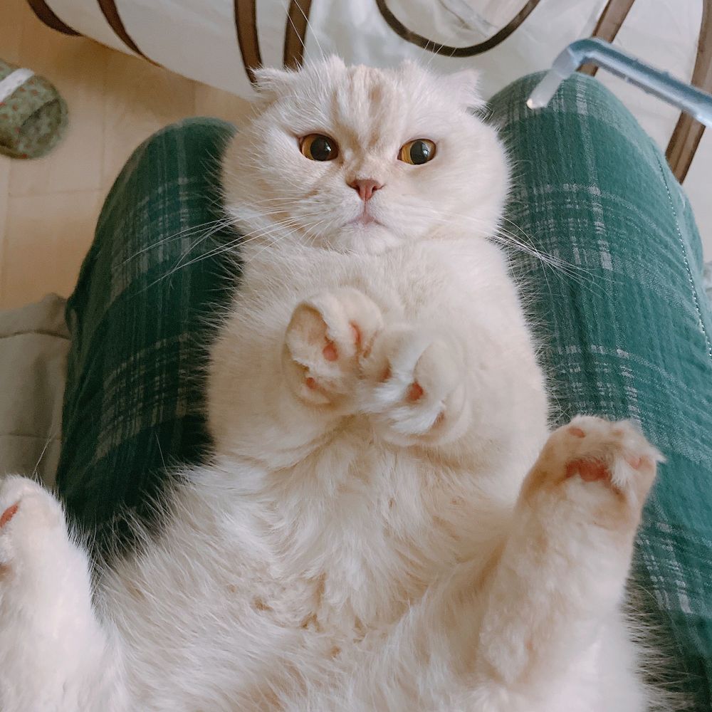 Lala