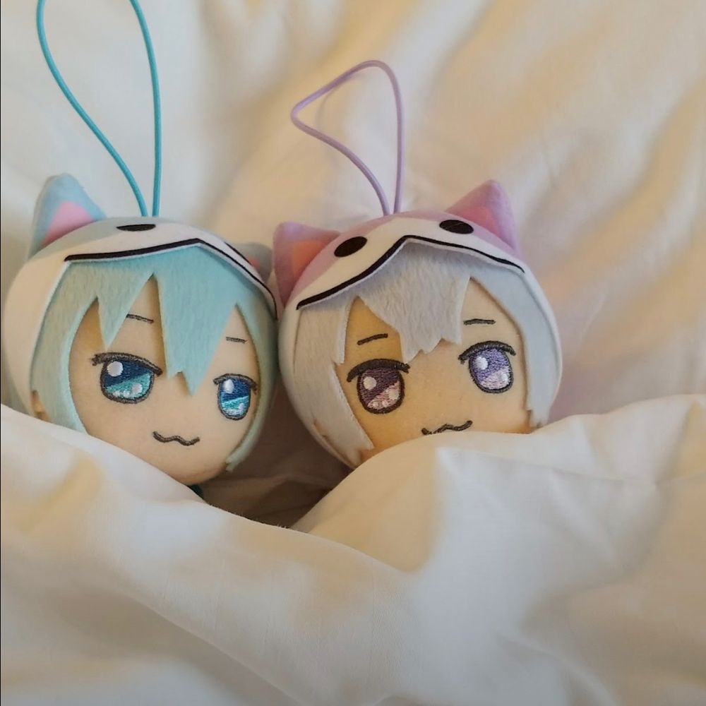 紫苑
