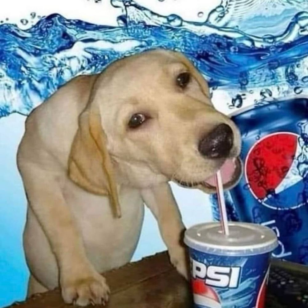 🫡🫡🫡