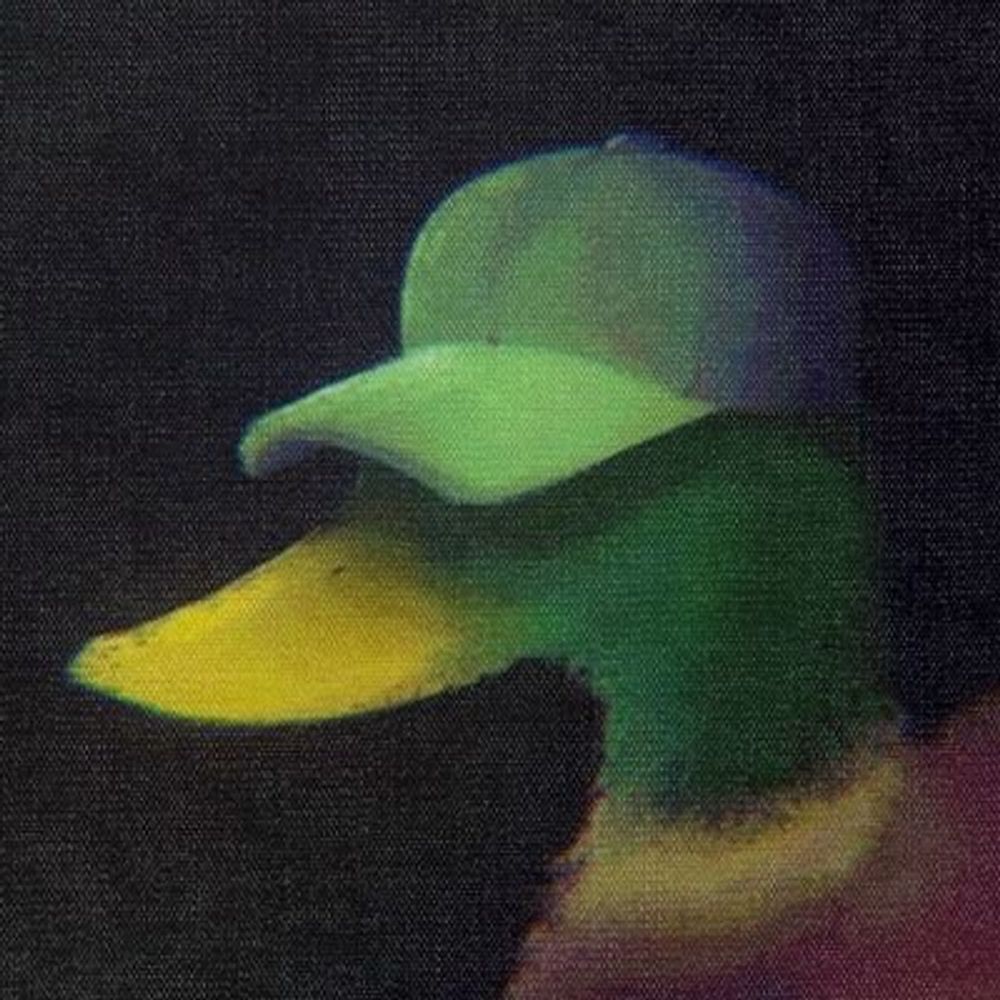 Pato Marxista ☭