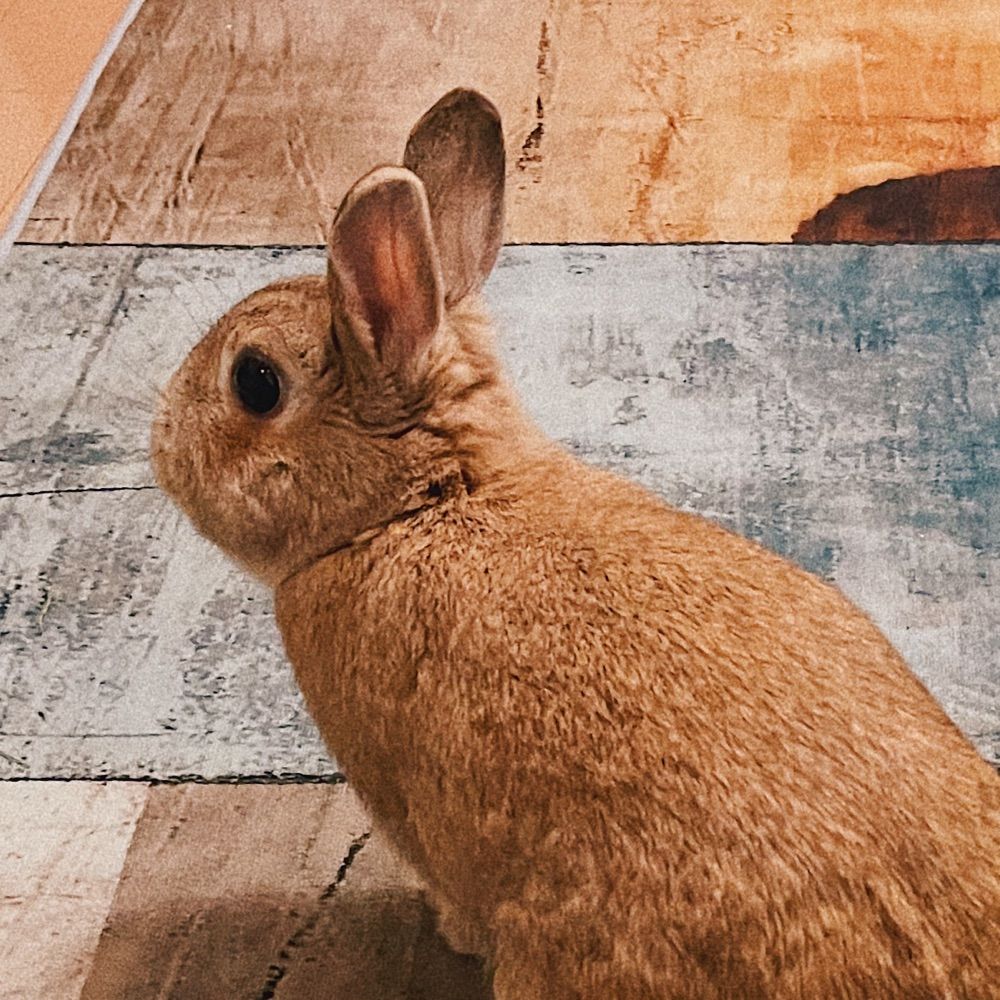 maru