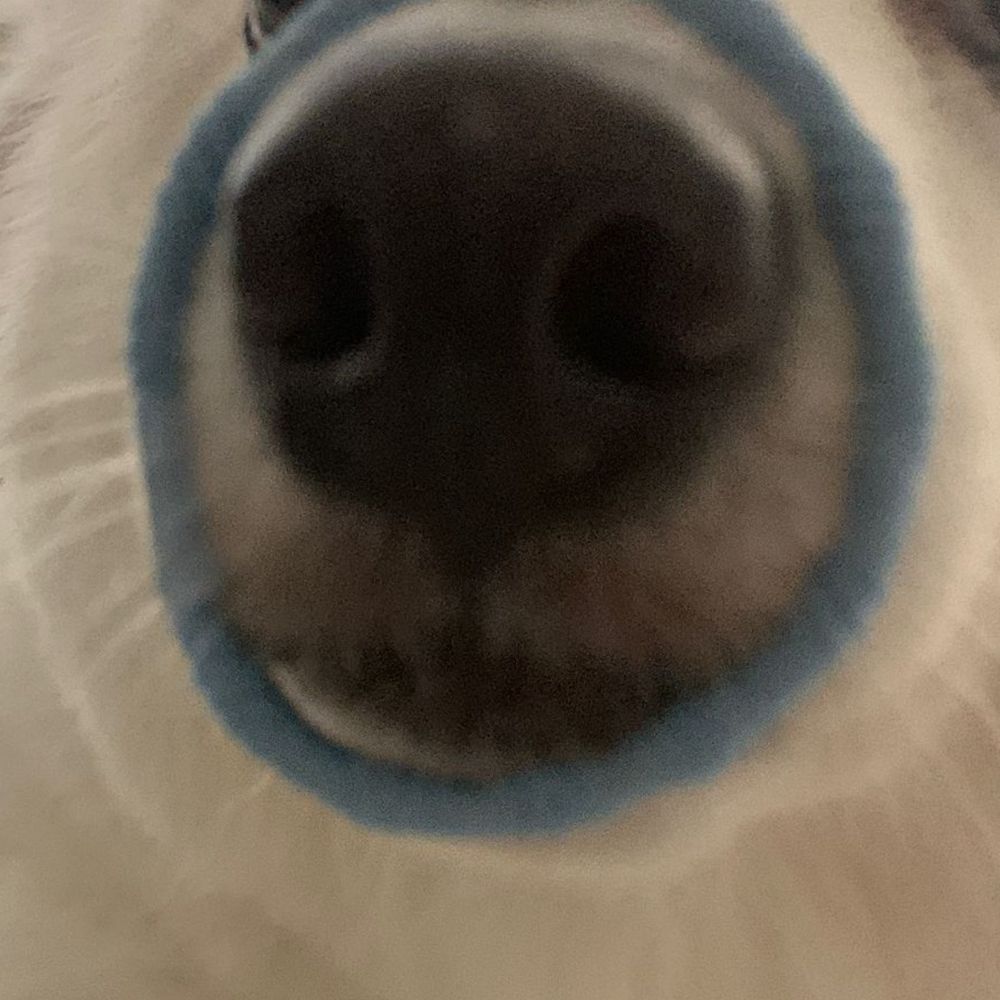 우언잉
