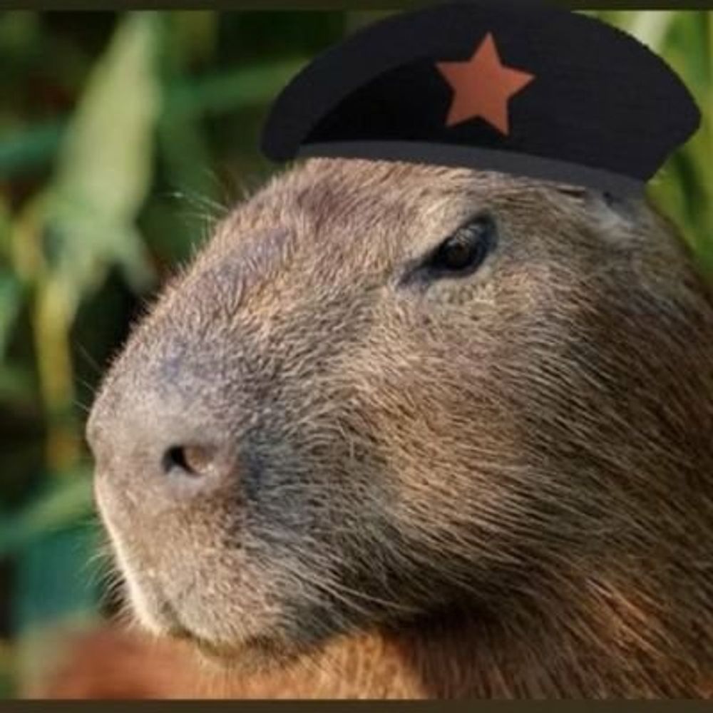 Stax (schweinchenflausch)'s avatar