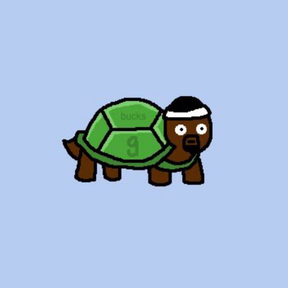 Bobby Tortoise