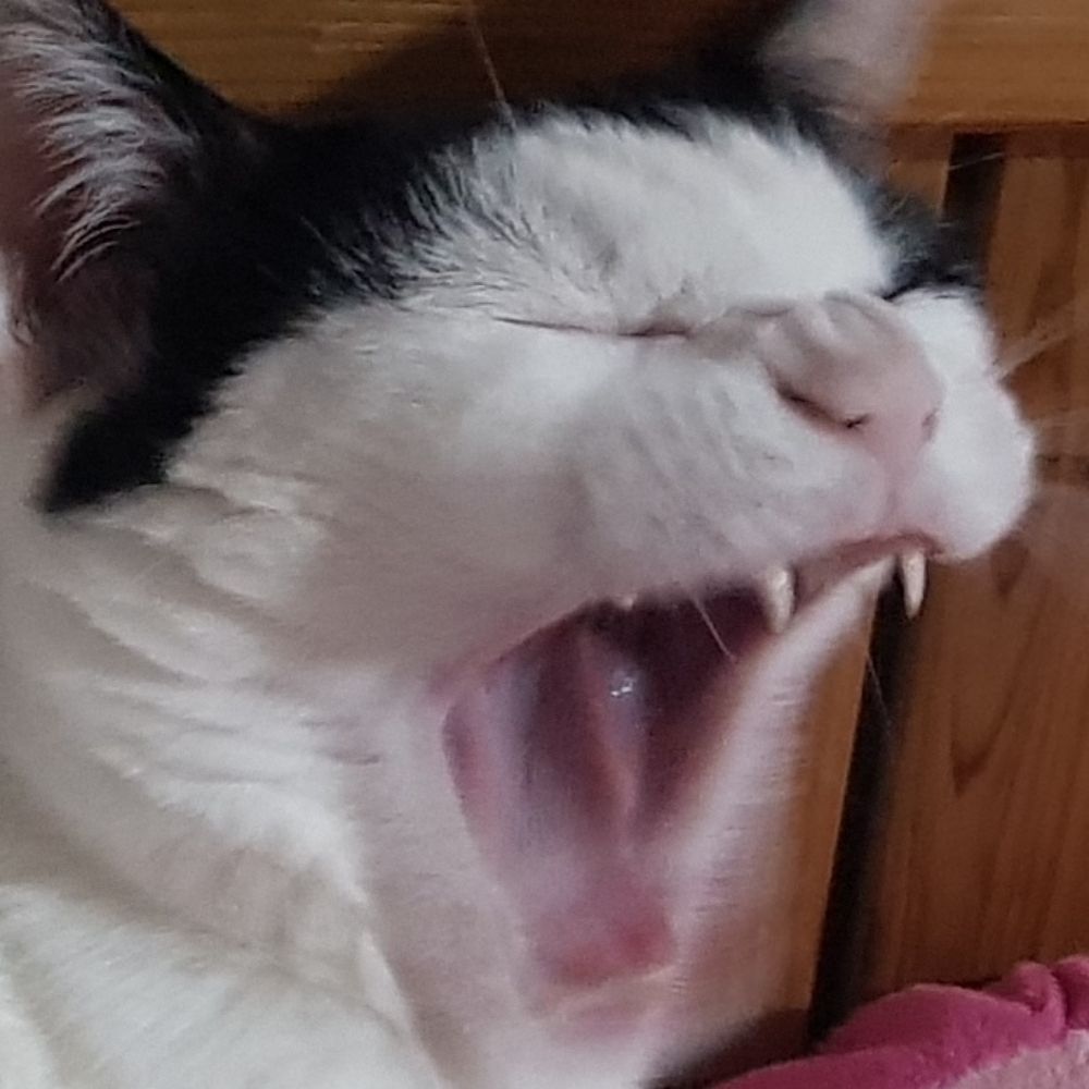 잉맛탕