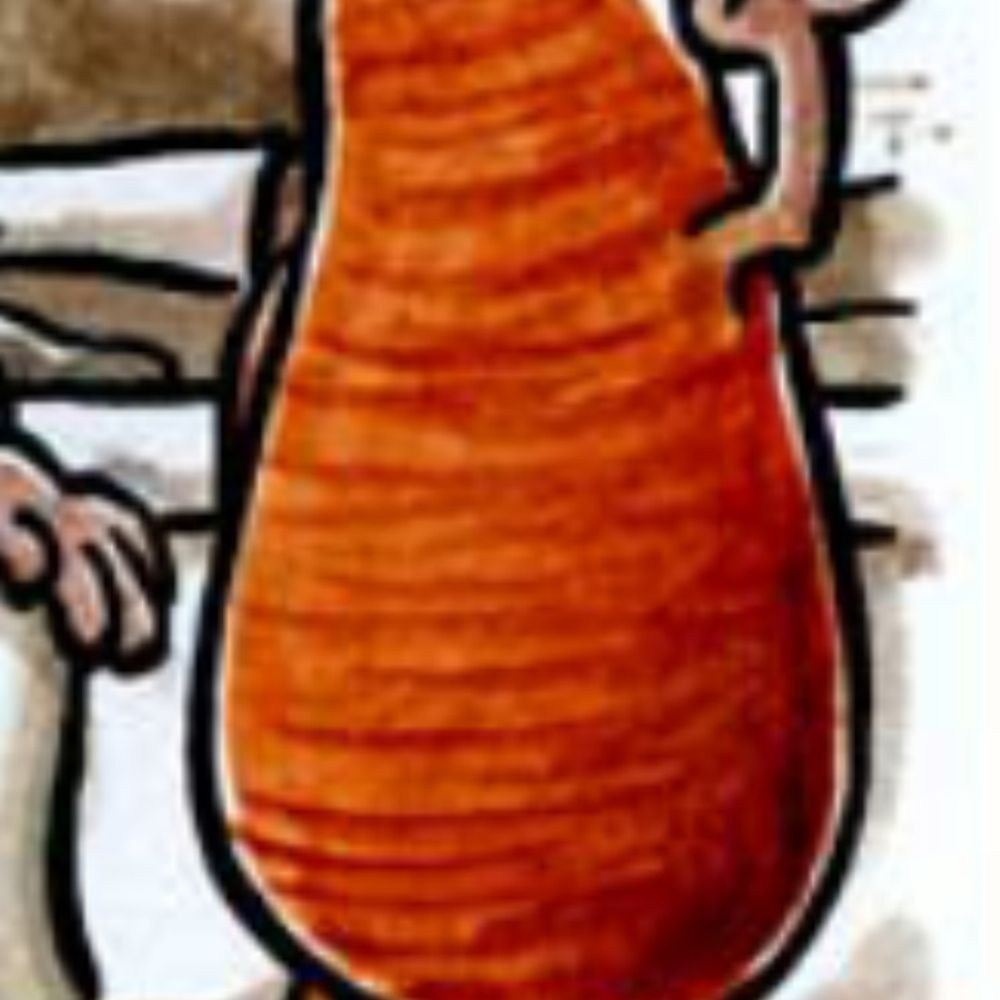 Der Rübenmensch's avatar