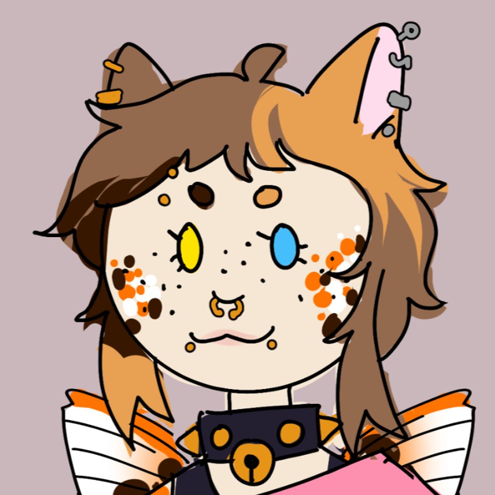 calikoicat.bsky.social profile picture
