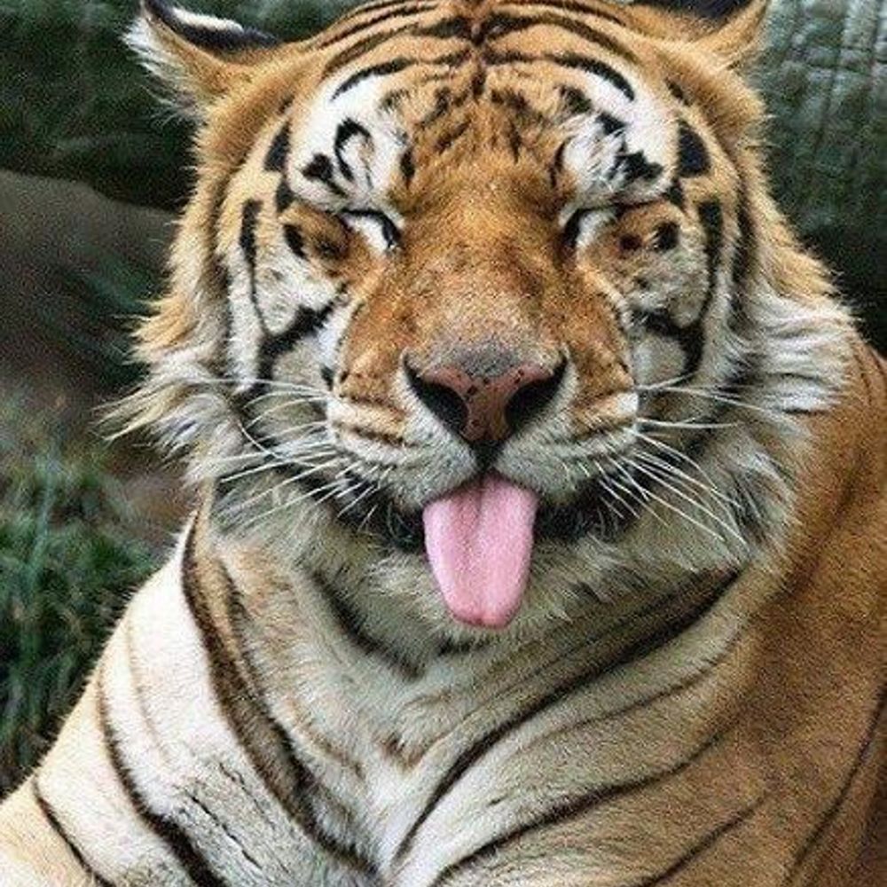 7777