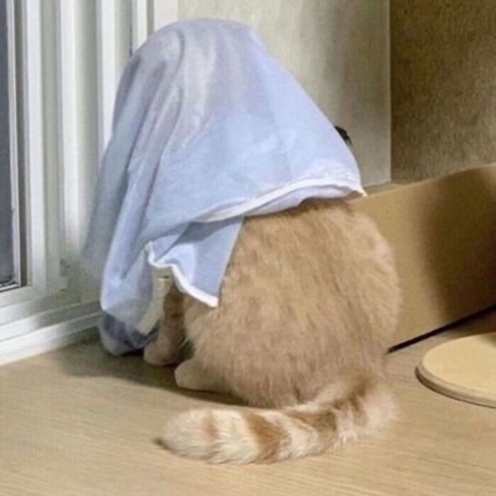 ฟองบาบุลุบุบุบุ๋งบุ๋ง🕓