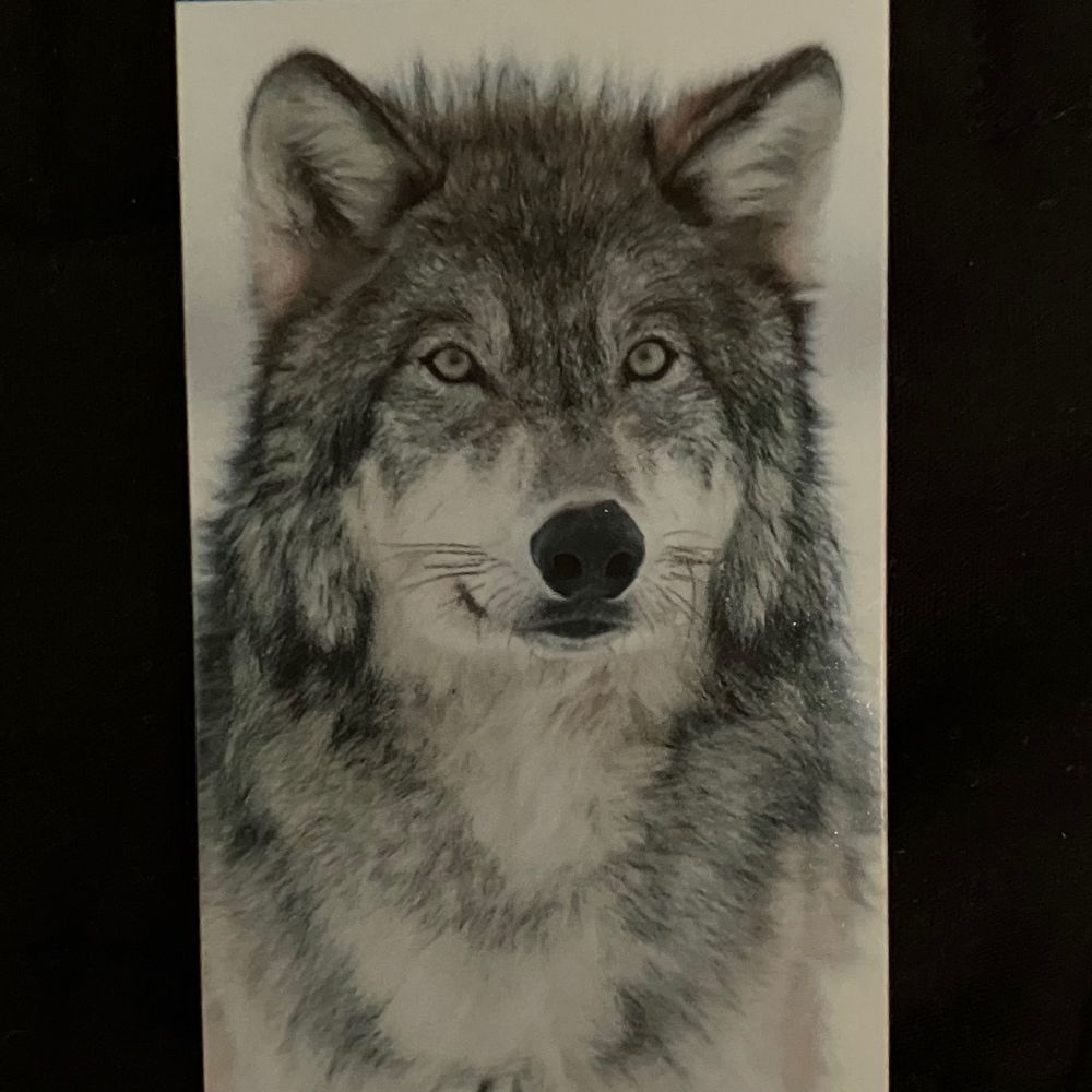 FarmWolf