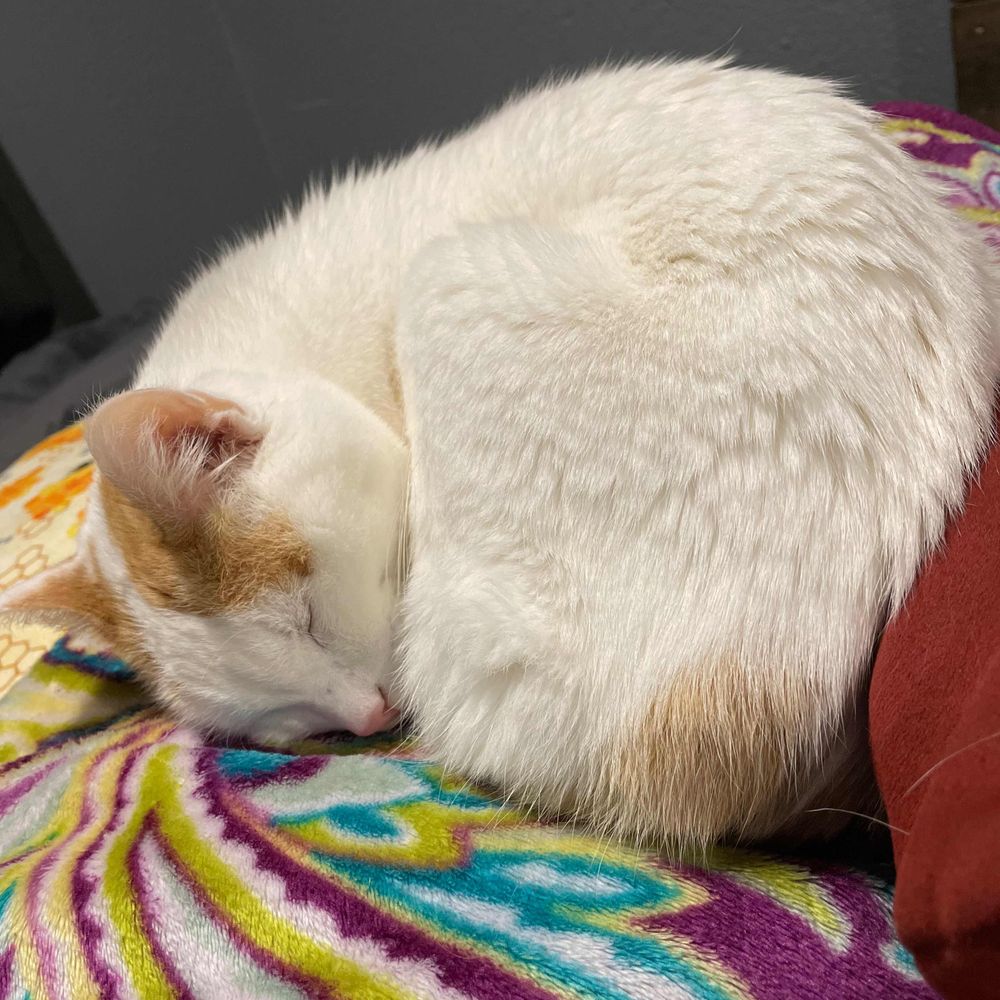 Sam