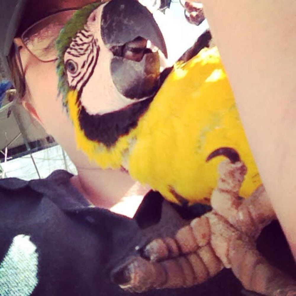 carnabys.bsky.social