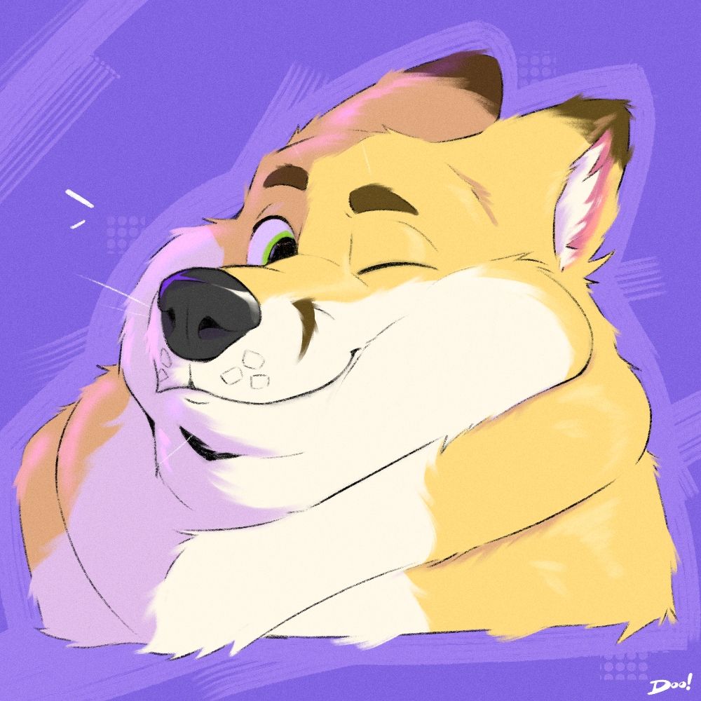 Asher 🦊