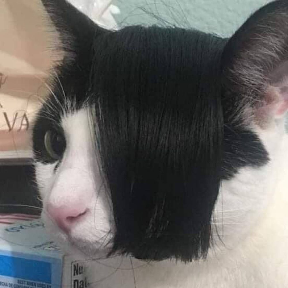le