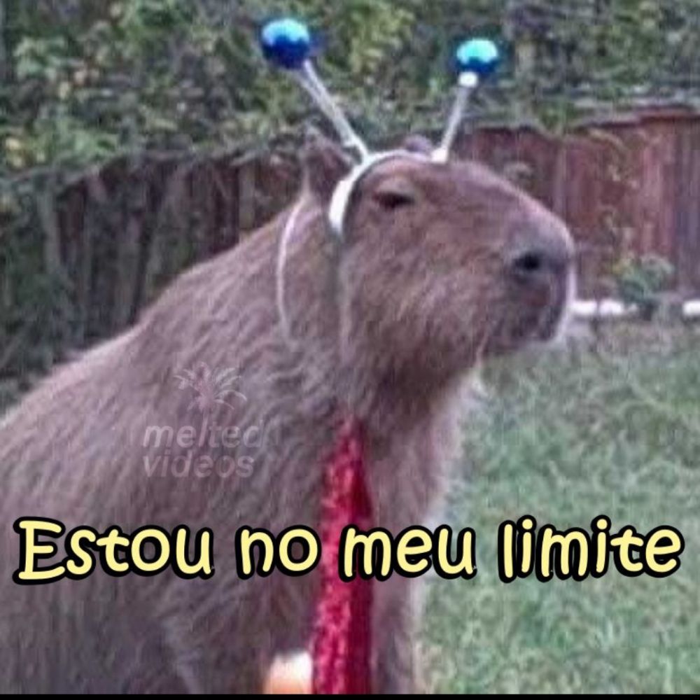 Sapatão ranzinza 
