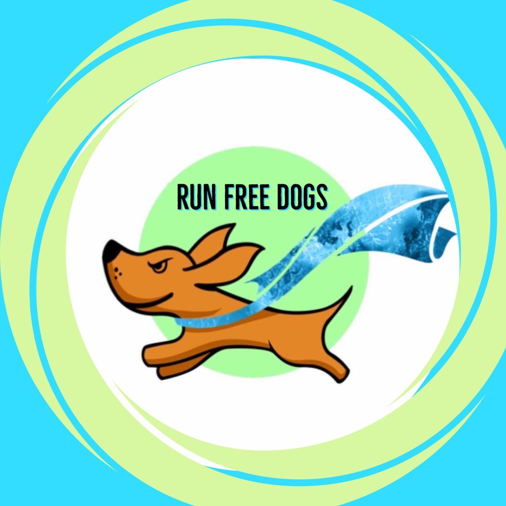 Run Free Dogs ~ Dog walking & Pet visit(s)
