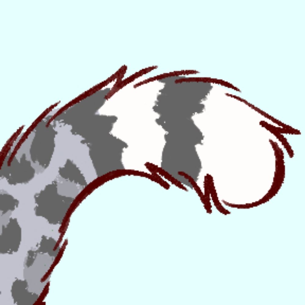 愼魖