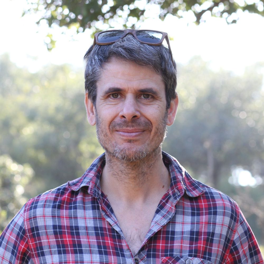 Nir Rotem