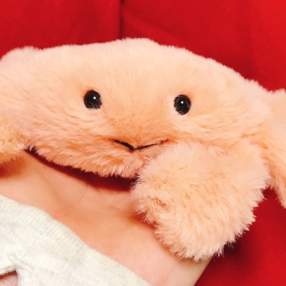 みまつ