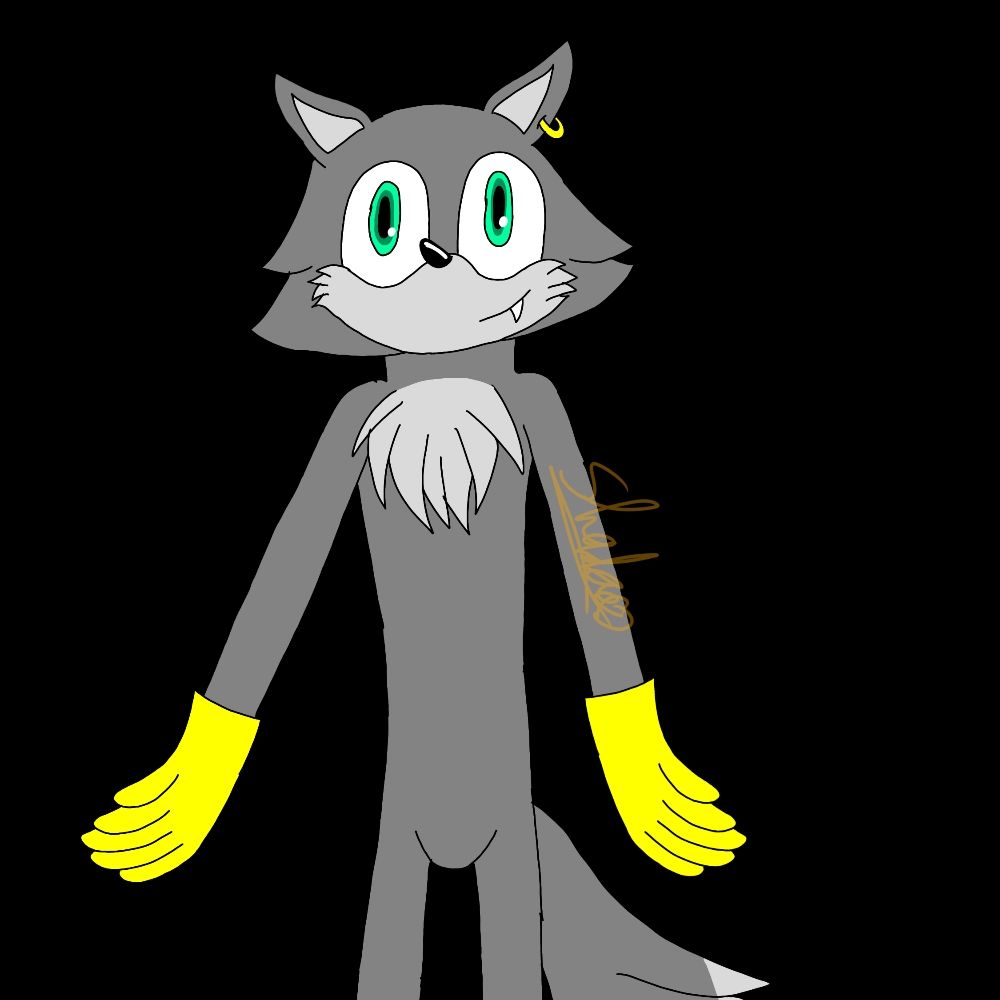 🩶🐺Jonny The Grey Wolf🐺🩶