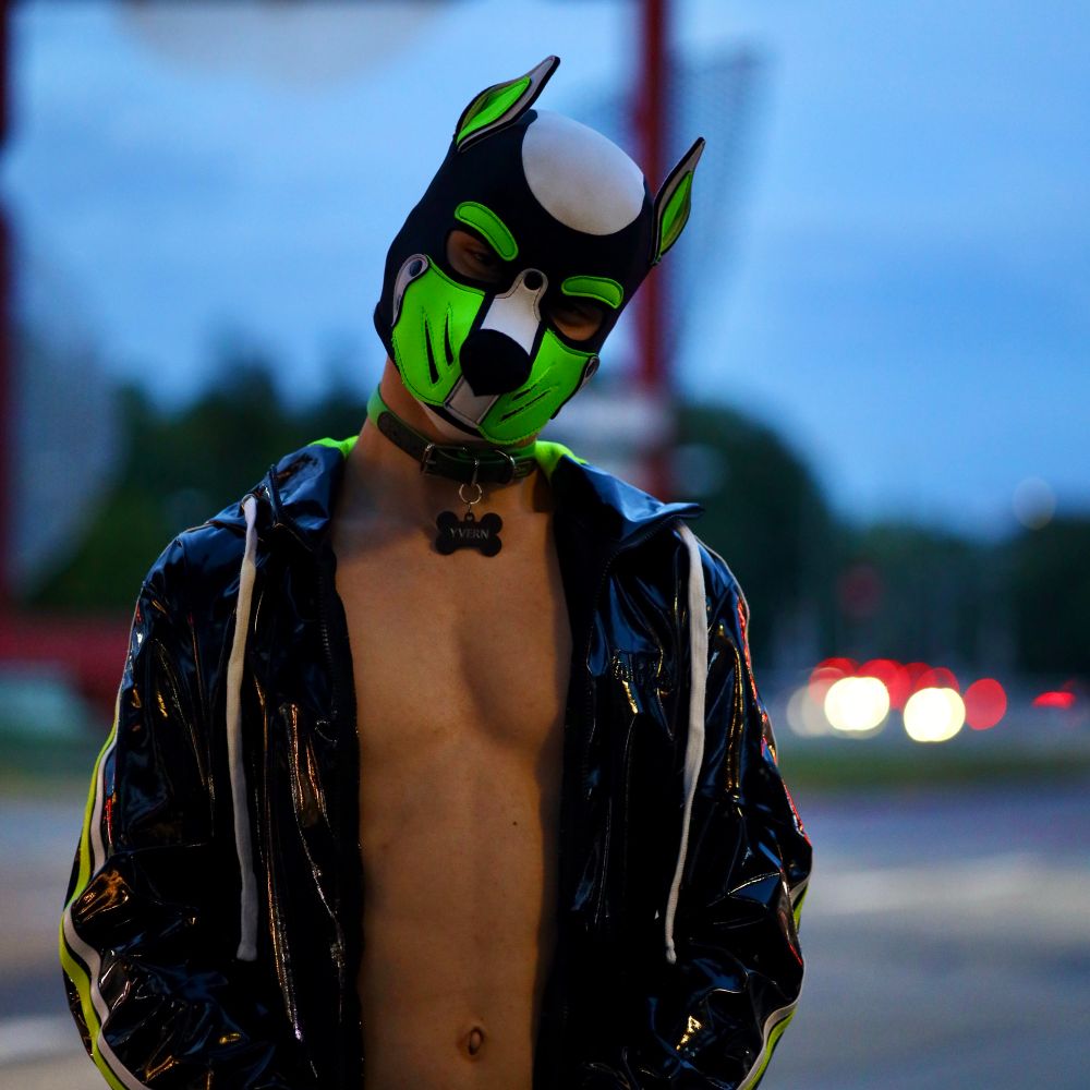 Pup_yvern