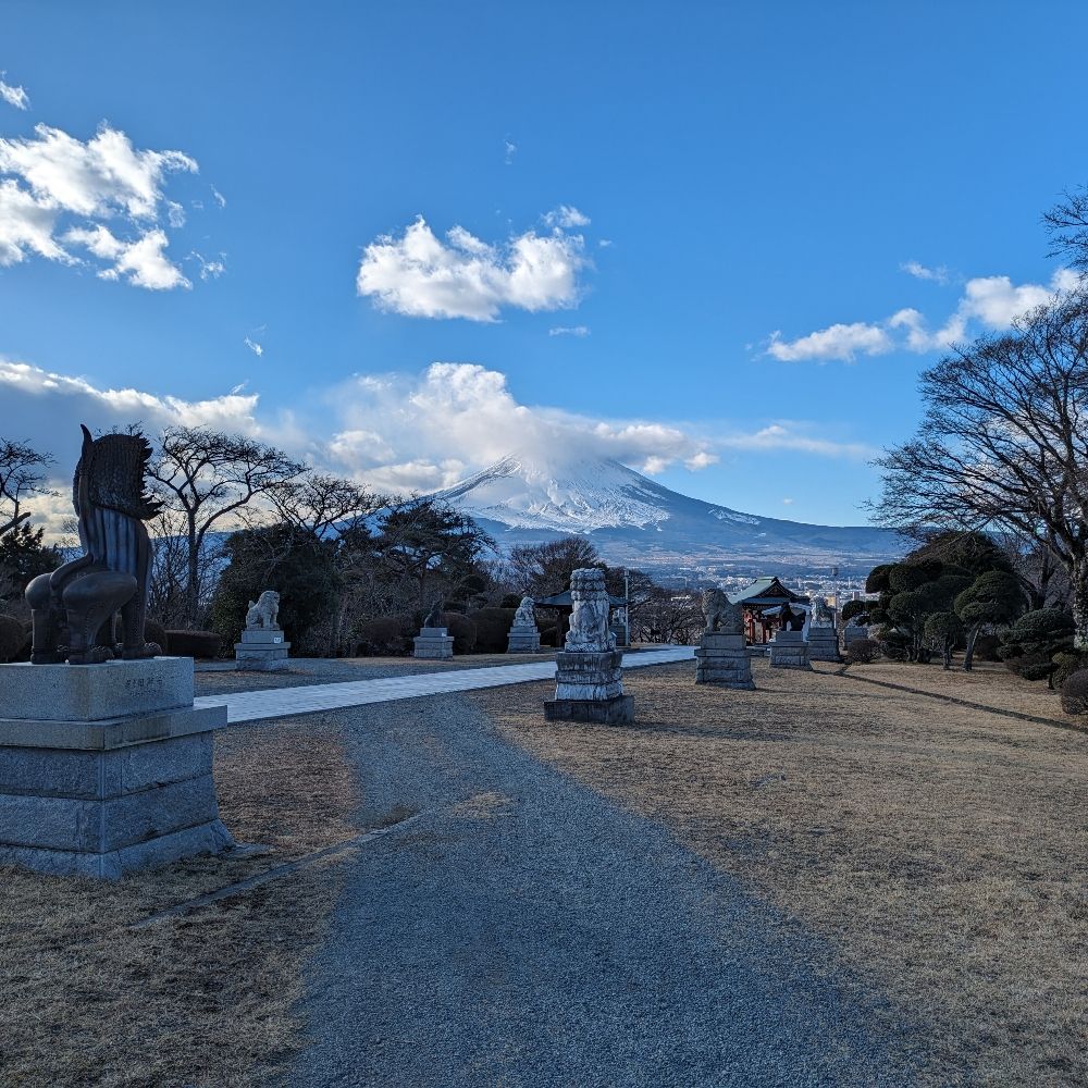 茘枝