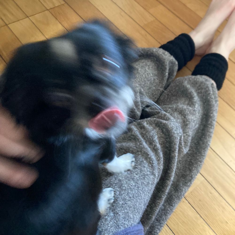 ぽてと