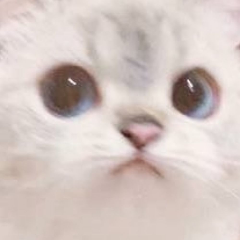 쬬랑
