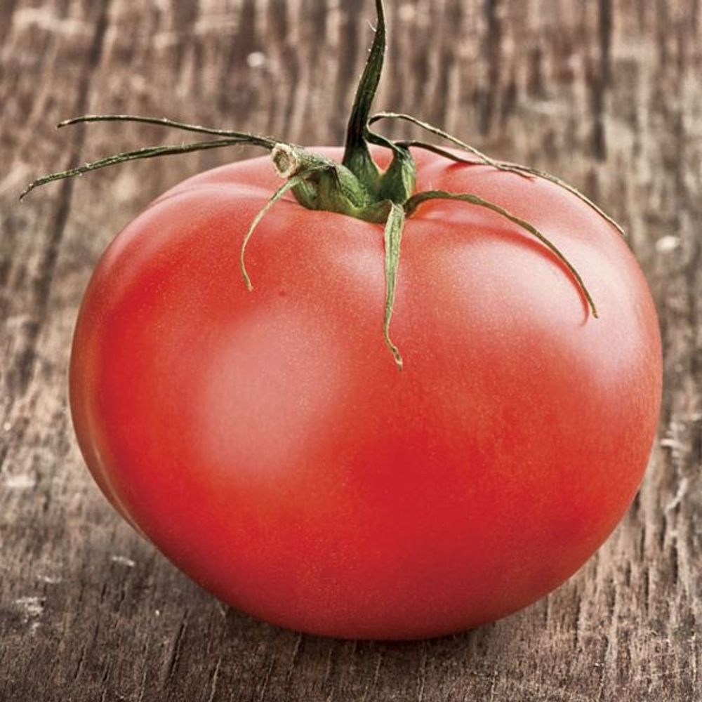 SourTomato1