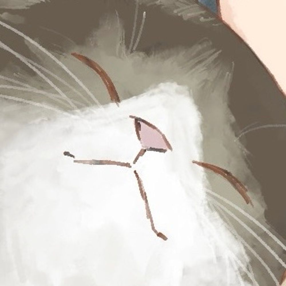祐
