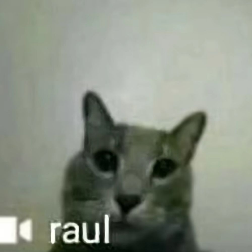 Gato expiado