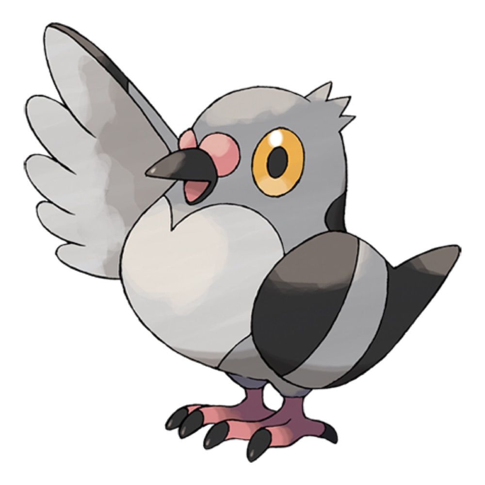 Birb