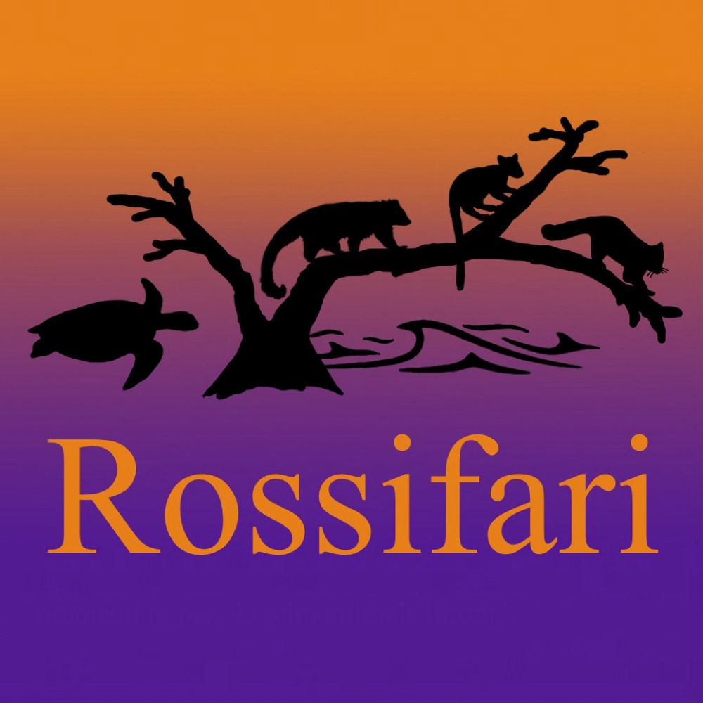 Profile picture rossifari.bsky.social