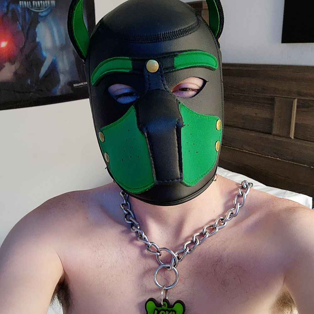 Pup Loki 💚