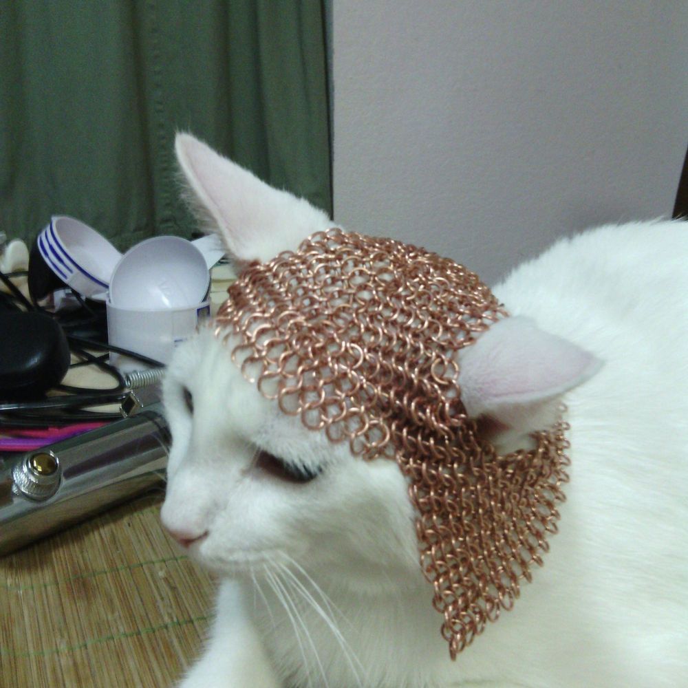 changelingchain.bsky.social