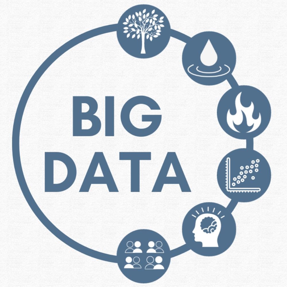 The Big Data Cluster