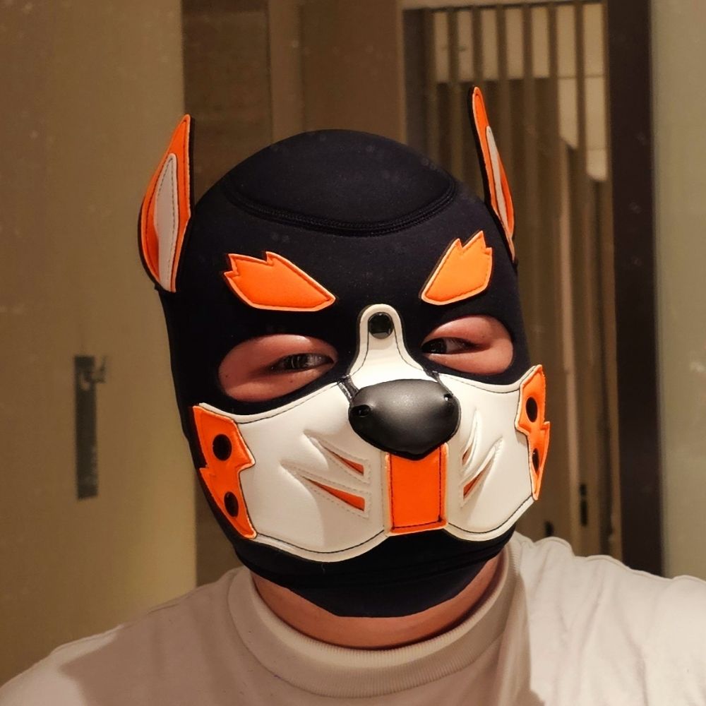 🐾PupKev大狗凯文