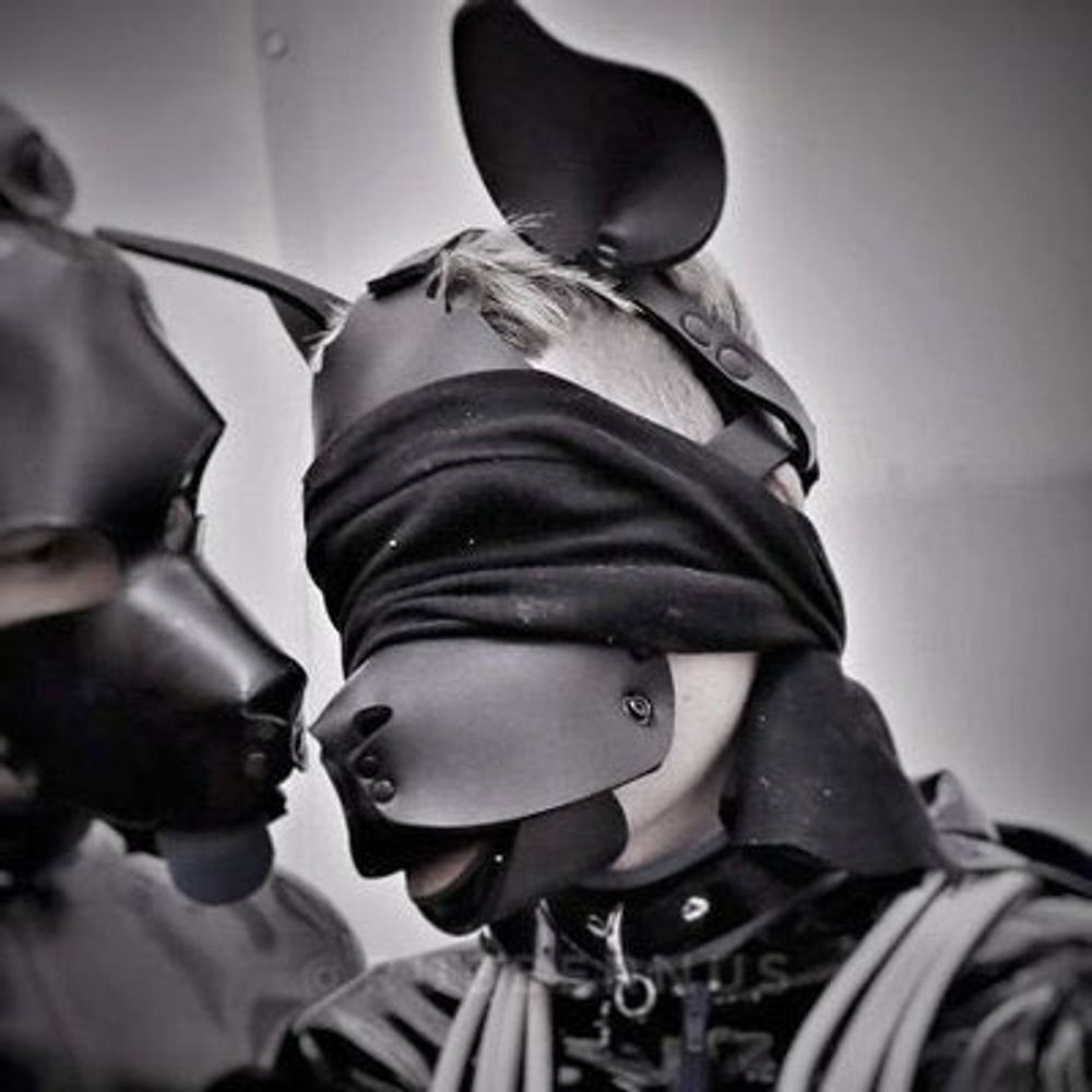 Just a little Acey butt 🍑 🔜 Folsom EU
