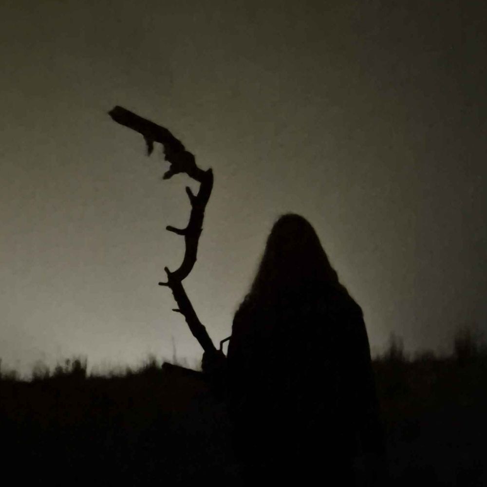 beardy406.bsky.social