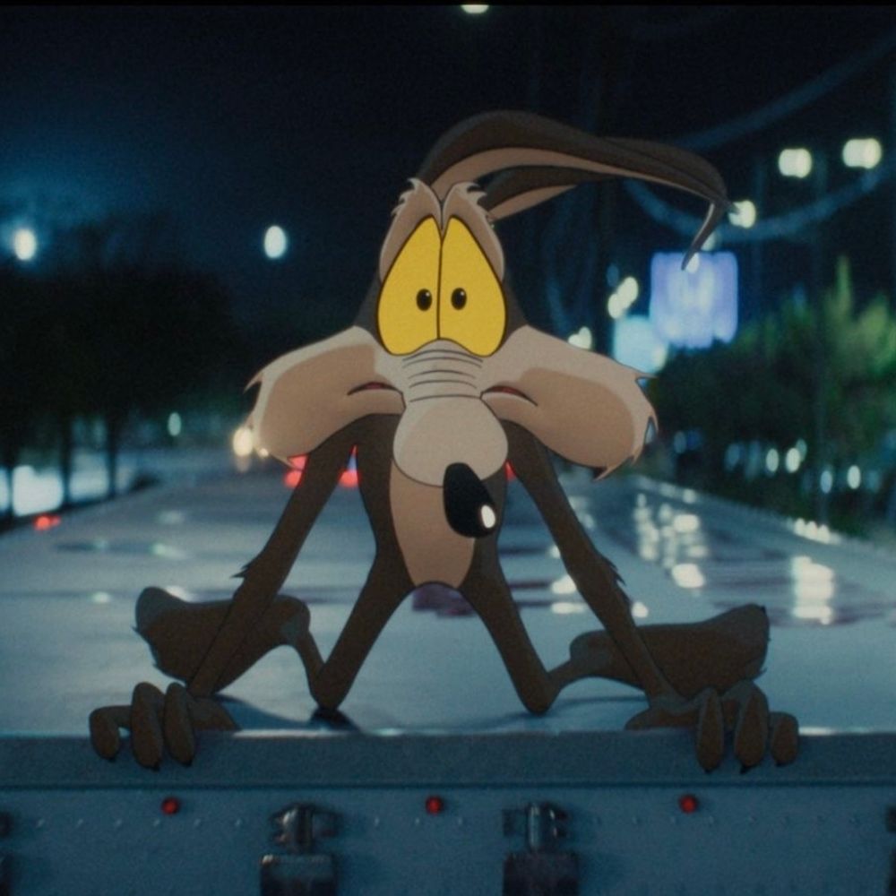 Wile E. Coyote - NEVER gives up!