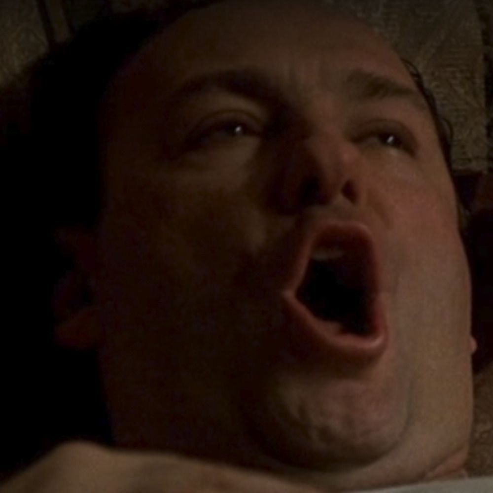 Sopranos Screens & Memes