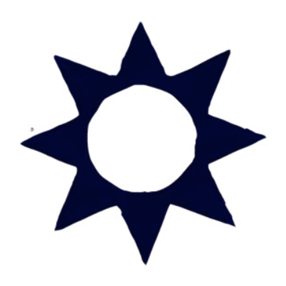 Turnsol Books