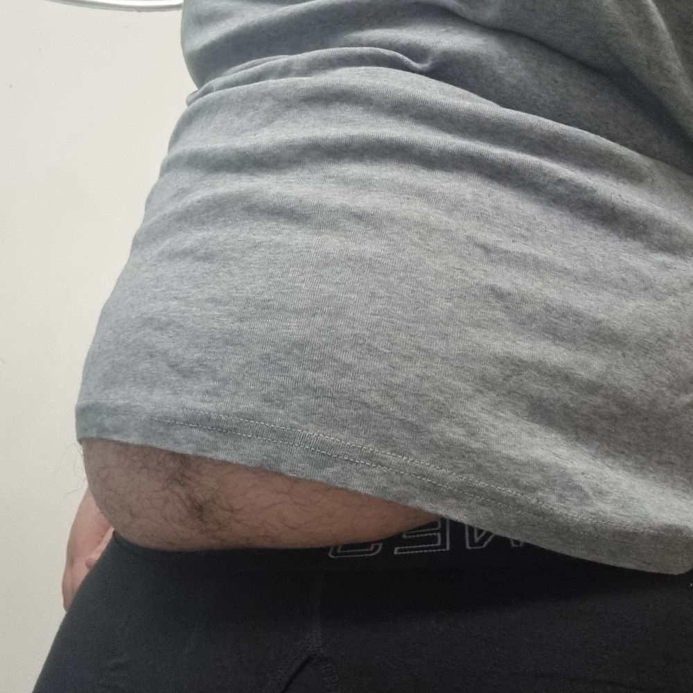 Dinogains