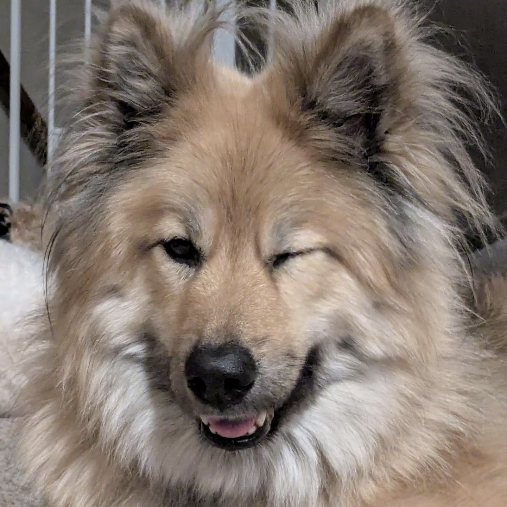 Ben!
