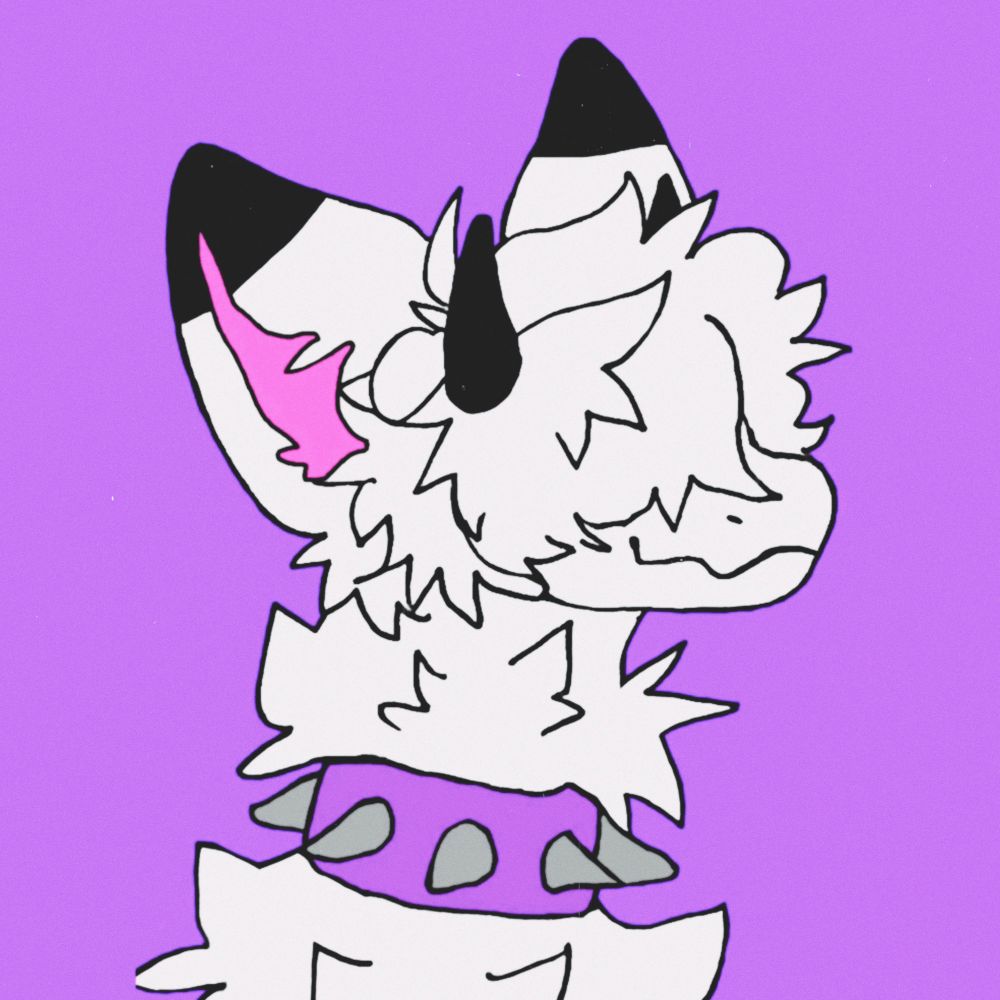 🤍Sparky!🤍