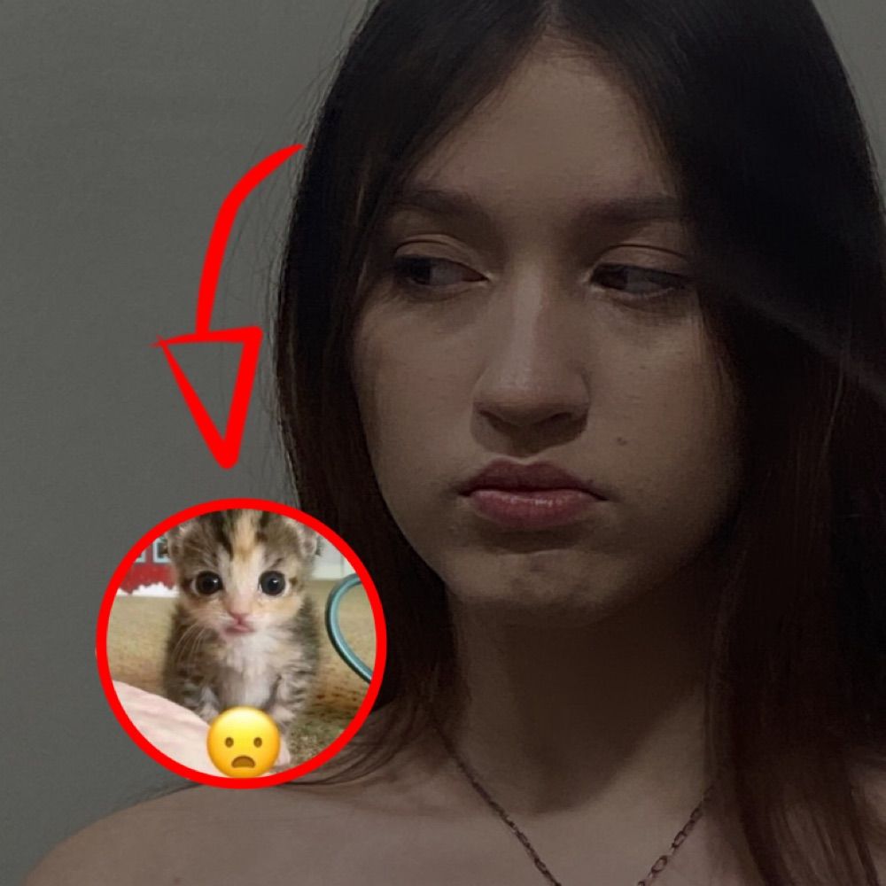 erikA do lu 💤