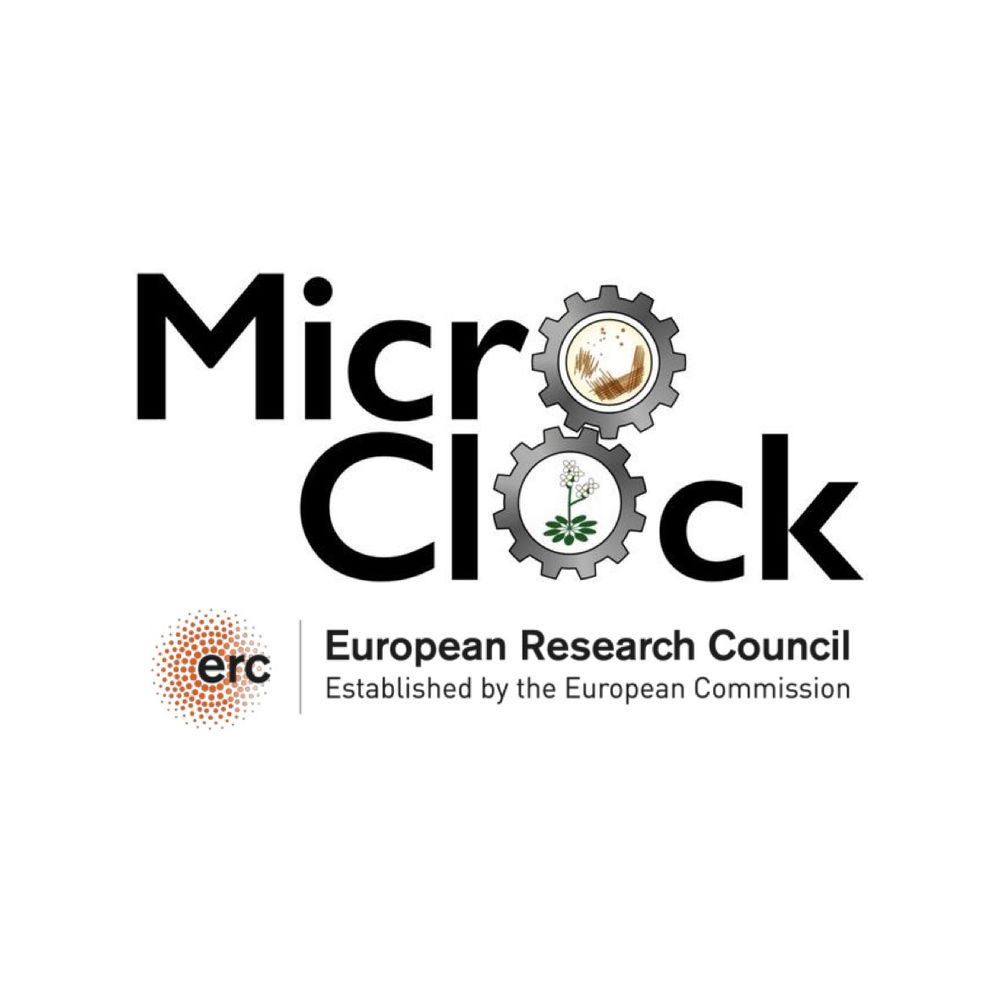 MicroClock ERCSyG