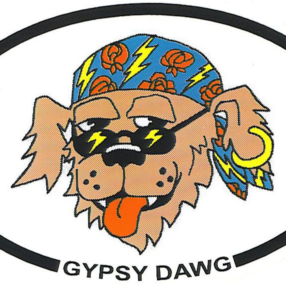 Profile picture gypsydawg.bsky.social