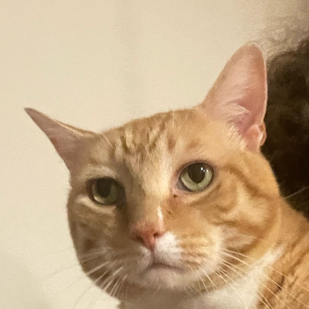 Em